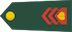 Insignia de Naddesetnik