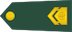 Insignia de Višji vodnik