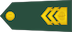 Insignia de Štabni vodnik