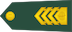 Insignia de Višji štabni vodnik