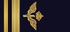 Sweden Air Force Löjtnant insignia