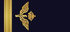 Sweden Air Force Fänrik insignia