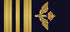 Sweden Air Force Major insignia