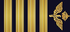 Sweden Air Force Överste insignia