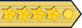 Sweden Air Force General insignia