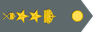 Sweden Army Överstelöjtnant insignia