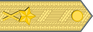 Sweden Army Brigadgeneral insignia