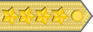 Sweden Army General insignia