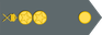 Sweden Army Översergeant insignia