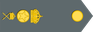 Sweden Army Förvaltare insignia