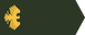 Syria Army رائد insignia