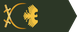 Syria Army لواء insignia
