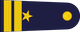 Thailand Air Force เรืออากาศเอก Ruea akat ek insignia