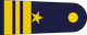 Thailand Air Force นาวาอากาศตรี Nawa akat tri insignia