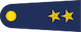 Insignia de Üsteğmen