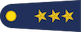 Insignia de Yüzbaşı