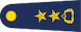 Insignia de Yarbay