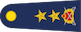 Insignia de Tümgeneral