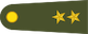 Insignia de Üsteğmen