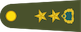 Insignia de Yarbay