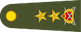 Insignia de Tümgeneral