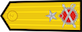 Insignia de Tuğamiral