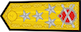 Insignia de Genelkurmay başkanlığı