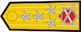 Insignia de Oramiral