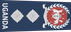Uganda Air Force Colonel insignia