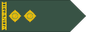 Uganda Army Lieutenant insignia