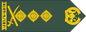 Uganda Army Lieutenant general insignia
