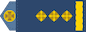 Полковник (Polkovnyk) insignia