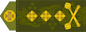 Генерал-лейтенант (Heneral-leitenant) insignia