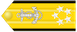 Fleet admiral insignia