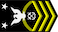 Master chief petty officer insignia