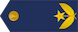 Mayor insignia