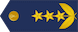 Coronel insignia