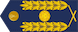 General de Brigada insignia
