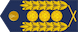 Mayor General insignia