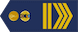 Sargento Mayor de Tercera insignia