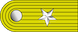 Teniente insignia