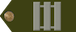 Sargento Mayor de Primera insignia