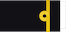 Teniente de Fragata insignia