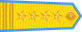 Vietnam Air Force Đại tá insignia