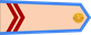Vietnam Air Force Binh nhất insignia