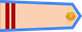 Vietnam Air Force Trung sĩ insignia