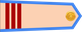 Vietnam Air Force Thượng sĩ insignia