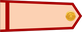 Vietnam Army Hạ sĩ insignia