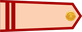 Vietnam Army Trung sĩ insignia