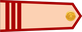 Vietnam Army Thượng sĩ insignia